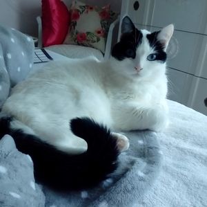 Meet your Posher, Kathleen